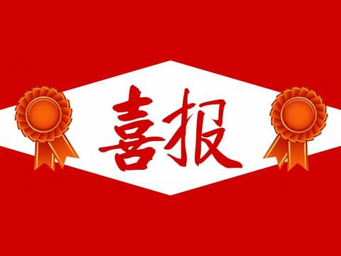 喜报！威腾电气集团团委荣获“镇江市五四红旗团委”称号