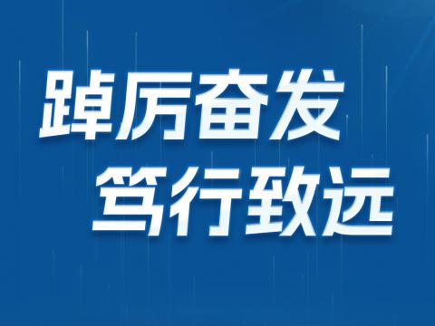 一图读懂威腾电气2024年半年报